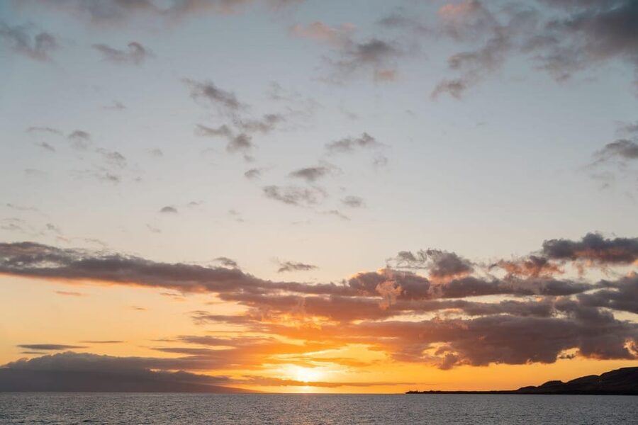 Maui: Luxury Catamaran Royal Sunset 5-Course Dinner Cruise - A bar built into the dinner