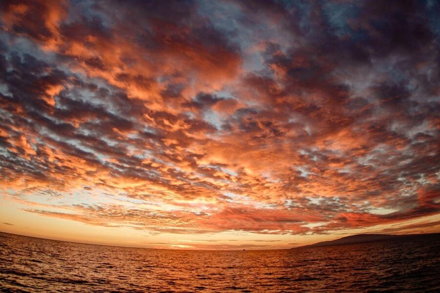 Maui: Luxury Catamaran Royal Sunset 5-Course Dinner Cruise - Service that helps the evening run smoothly