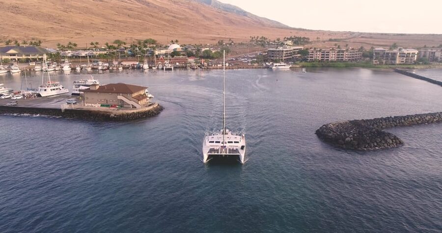 Maui: Luxury Catamaran Turtles & Tacos Snorkel - Why the catamaran setup matters