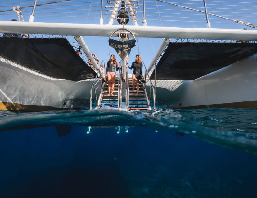 Maui: Luxury Catamaran Turtles & Tacos Snorkel - Is $159 a fair price?