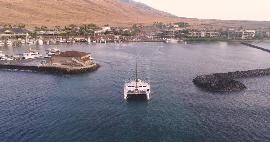 Maui: Luxury Catamaran Whale Watch & Sail - Key points to know before booking
