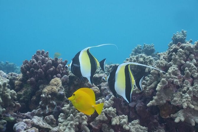 Maui: Molokini and Turtles Luxury Yacht Snorkel - What happens when the weather turns