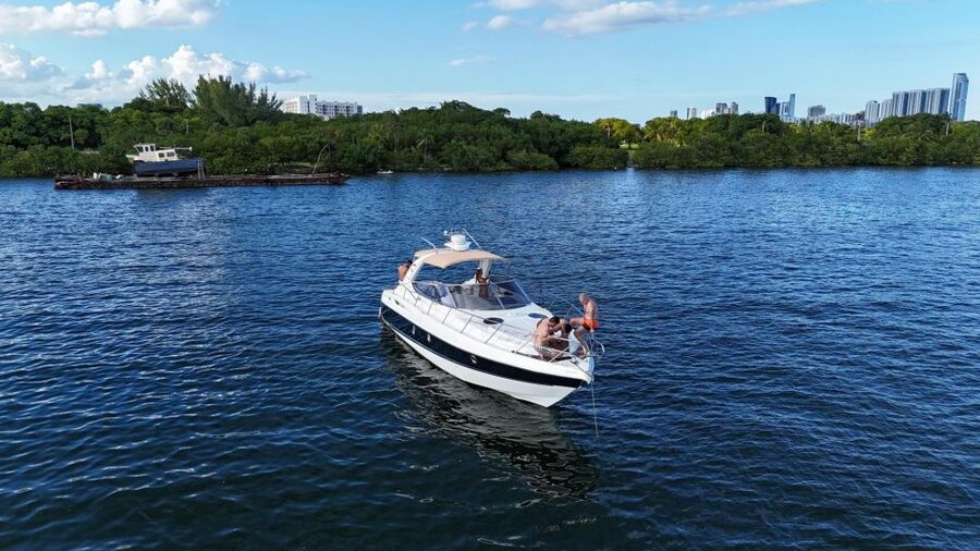 Miami: Private Yacht for up to 12 People - Dolphins, seabirds, and the luck of the bay