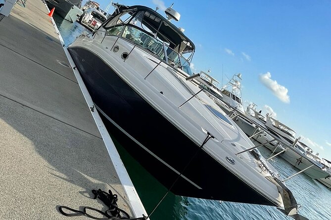Miami Private Yacht Rental 2 to 4 hours for 12 people - Comfort and safety on board