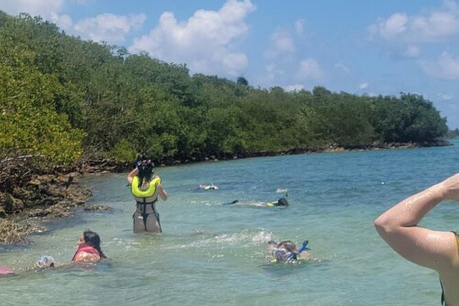 Miami: Snorkeling Adventure in Miami for Beginners Private Yacht - Why the boat ride may be the best part