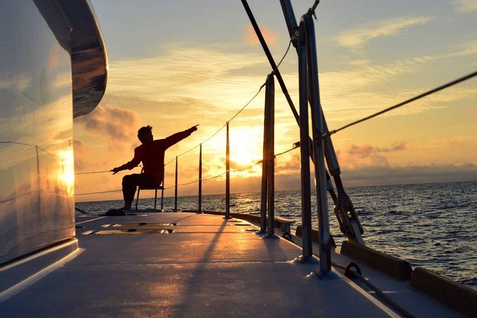 Midnightsun trip - Luxury Catamaran Arctic Princess - Key points to know before sailing