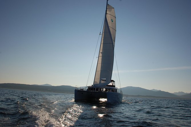 Midnightsun trip - Luxury Catamaran Arctic Princess - Warm food makes the late hour easier