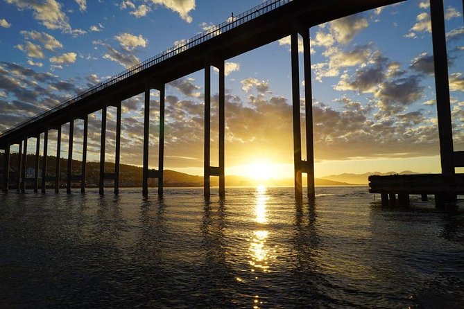Midnightsun trip - Luxury Catamaran Arctic Princess - Skippers who shape the evening