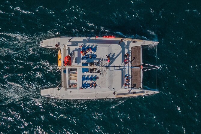 Multimillion Yacht Cabo Cruise Sunset or Snorkel Optional PICKUP! - Whales, tropical fish, and seasonal expectations