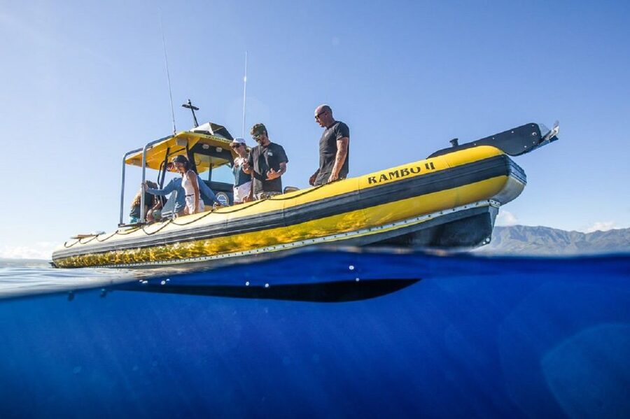 Oahu: North Shore Haleʻiwa: Private Boat Charter - A short North Shore cruise with plenty packed in