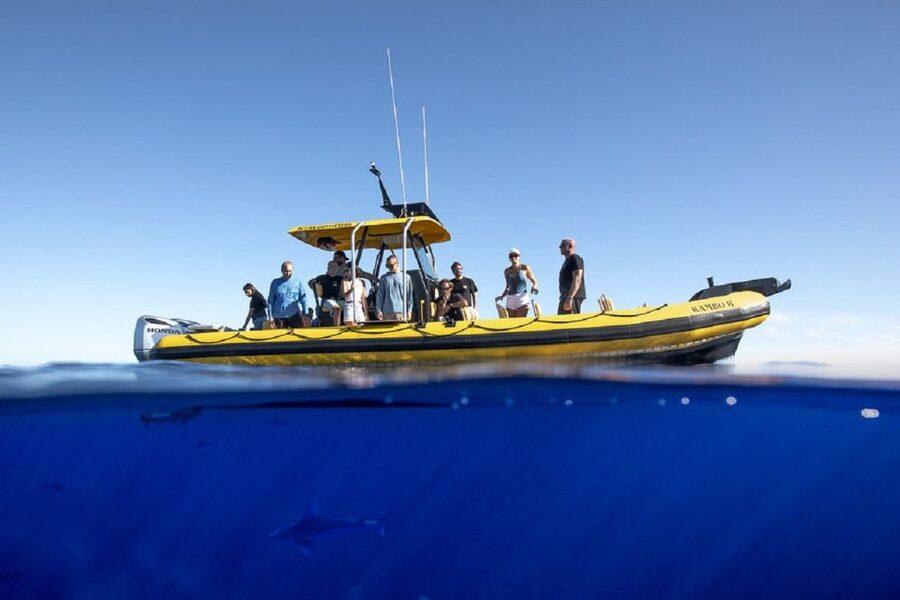 Oahu: North Shore Haleʻiwa: Private Boat Charter - What the private format really adds