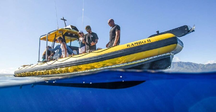 Oahu: North Shore Haleʻiwa: Private Boat Charter - Is $1,200 a fair price?