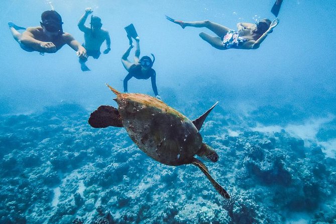 Oahu Small Group Snorkel Tour with Yacht Cruise - Who will enjoy this Oahu snorkel cruise most