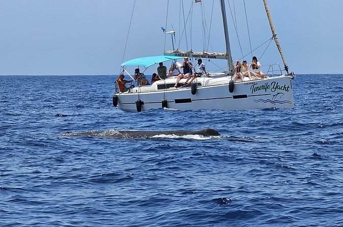 Ocean Pack Tenerife Jet Ski and Yacht Whale Watching - Why the small group changes the experience