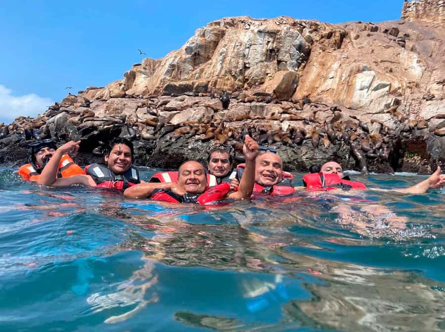 Palomino Islands Yacht Tour and swim alongside the sea lions - Swimming with Sea Lions off Lima