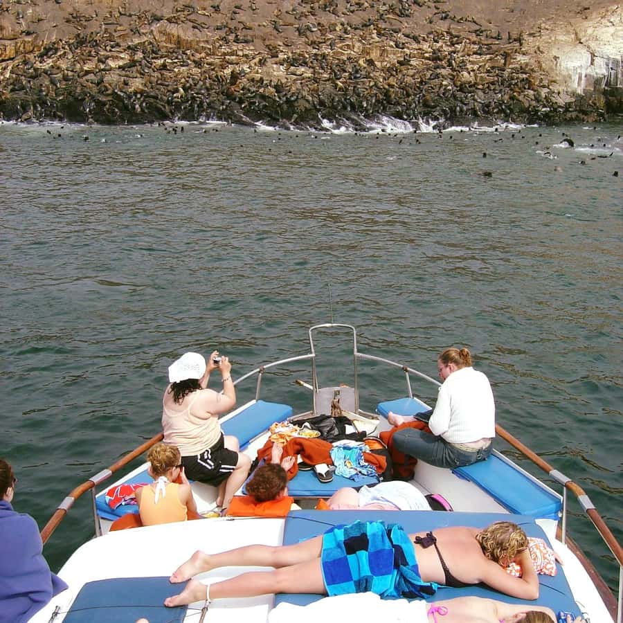 Palomino Islands Yacht Tour and swim alongside the sea lions - From Lima Hotels to the Callao Pier