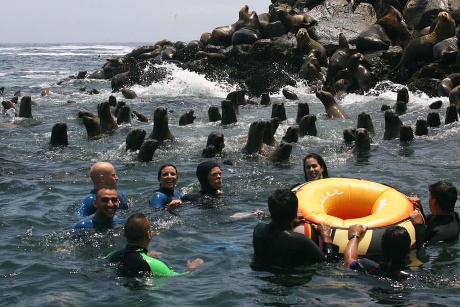 Palomino Islands Yacht Tour and swim alongside the sea lions - San Lorenzo Island and the Islands Around Callao