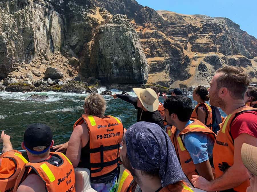 Palomino Islands Yacht Tour and swim alongside the sea lions - Humboldt Penguins, Guano Birds, and the Smell of the Islands