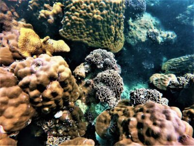 Pattaya: Full-Day 2 Islands Yacht Trip with Lunch and Sunset