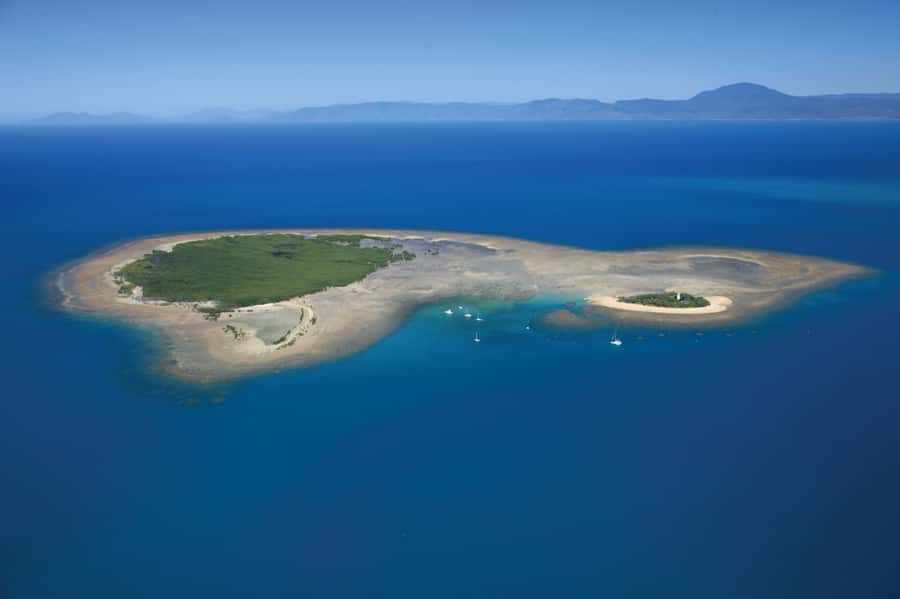 Port Douglas: Low Isles Afternoon Cruise on Luxury Catamaran - Key points to know