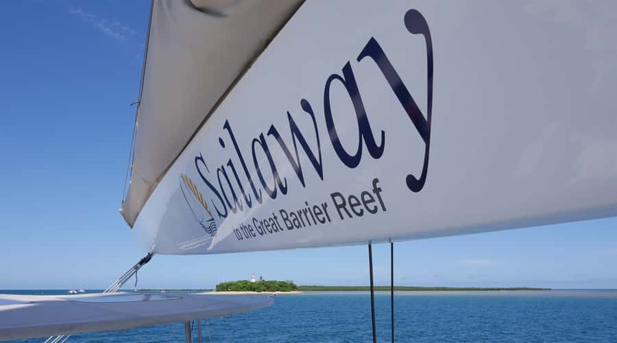 Port Douglas: Low Isles Afternoon Cruise on Luxury Catamaran - Marine guides who make the reef easier to read