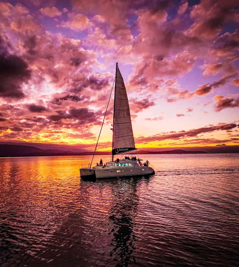 Port Douglas: Low Isles Afternoon Cruise on Luxury Catamaran - Who should book this Low Isles cruise?