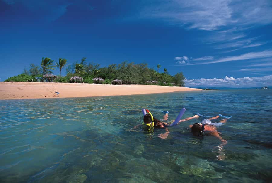 Port Douglas: Reef & Low Isles Cruise on Luxury Catamaran - Why Low Isles makes a good reef day from Port Douglas