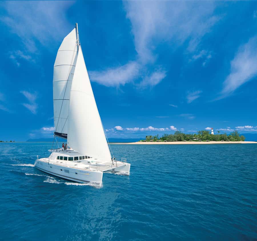 Port Douglas: Reef & Low Isles Cruise on Luxury Catamaran - Four and a half hours around the coral cay