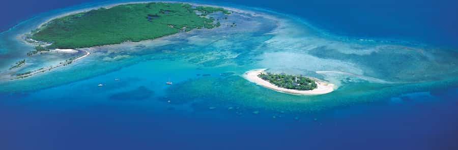 Port Douglas: Reef & Low Isles Cruise on Luxury Catamaran - The glass-bottom boat and the island walk