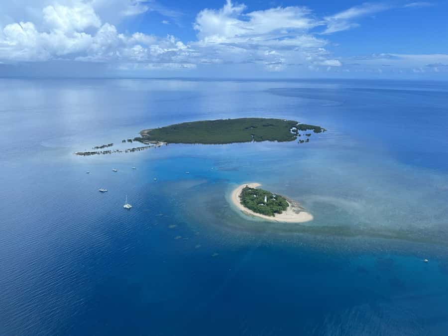 Port Douglas: Reef & Low Isles Cruise on Luxury Catamaran - What the $240 price really buys