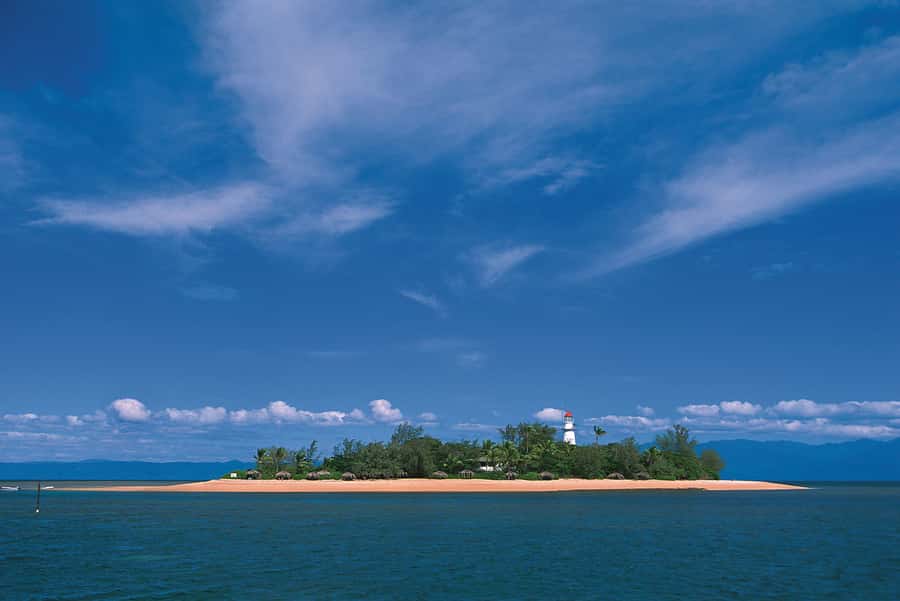 Port Douglas: Reef & Low Isles Cruise on Luxury Catamaran - Practical advice for a smoother day