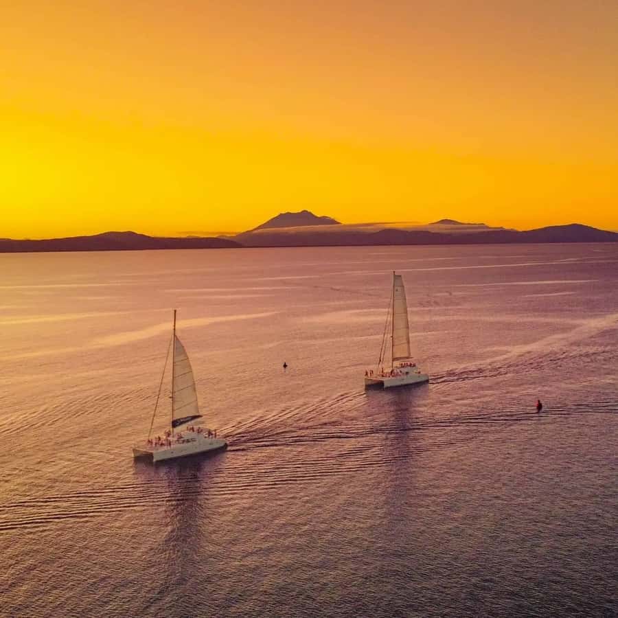 Port Douglas: Sunset Sailing Cruise on Luxury Catamaran - The sunset is the highlight, but not the whole experience