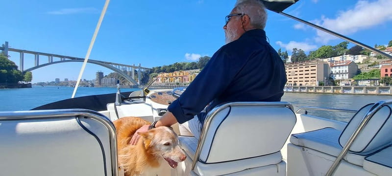 Porto: Private Yacht Tour on Douro River - up to 12 people - What past bookings suggest about the experience