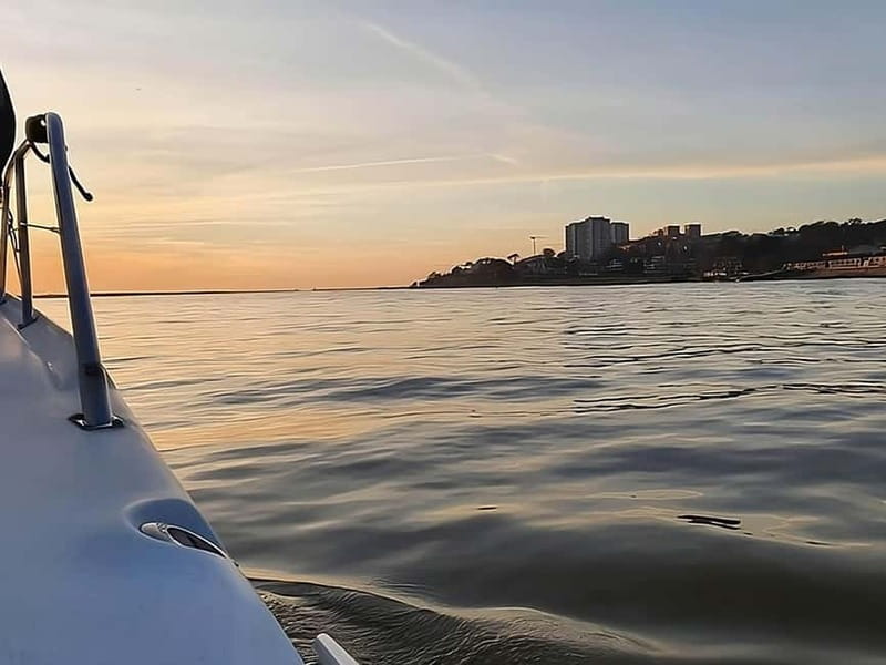 Porto: Sunset or Daytime Yacht Cruise with Welcome drink - Six bridges, each with its own character