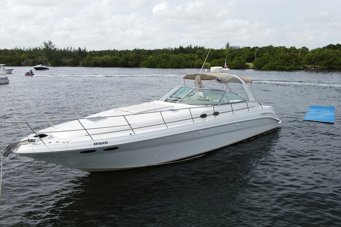 Premium Miami Yacht Tour Experience: Captain, Champagne & Party! - Dolphins, manatees, and the natural side of Miami