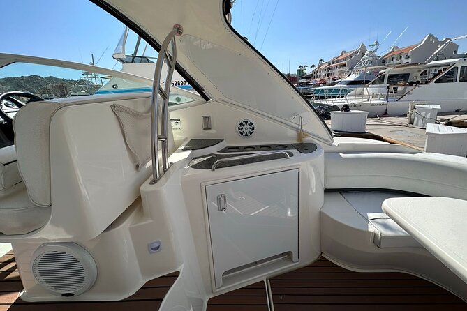 Private 42-foot luxury yacht tour in Los Cabos - A pleasant chance of whale spotting