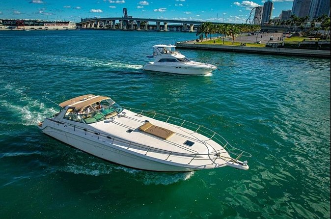 Private 52' Yacht Rental with Captain in Miami - The real cost: $800 is not the final figure