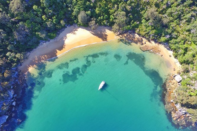 Private 90 min Luxury Cruise on Sydney Harbour - up to 6 Guests - Under the Harbour Bridge