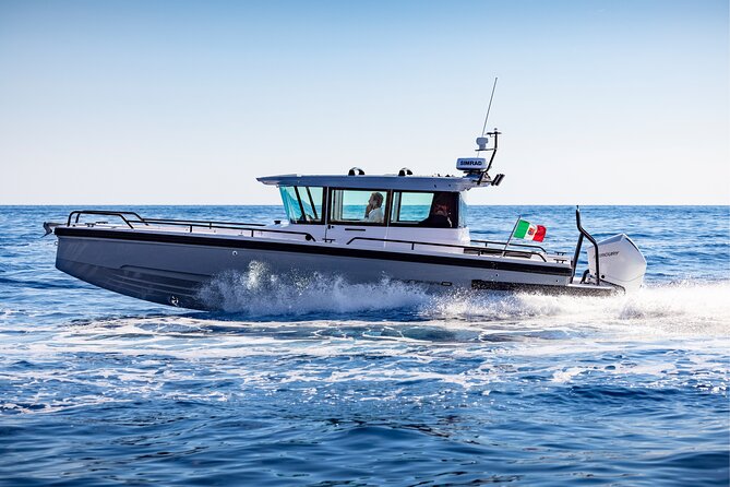 Private Axopar 37 MotorYacht Cruise in Santorini w/ Snack & Drink - Should you book the Axopar 37 cruise?