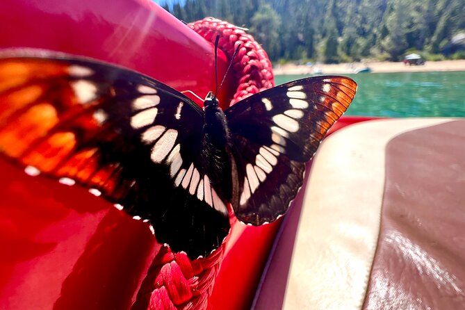 Private Boat Charter Emerald Bay in the Grateful Red - Historic homes seen from the lake