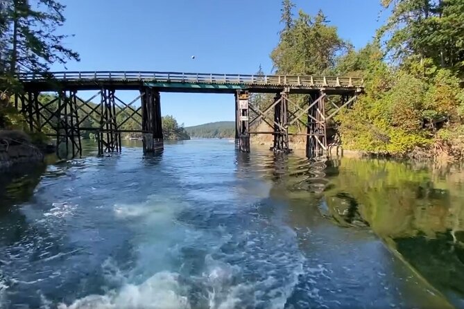 Private Boat Charter Explore Southern Gulf Islands Tour - What the boat ride feels like