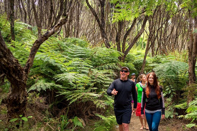 Private boat charter in Abel Tasman National Park - Kayaking, swimming, and snorkeling from the boat