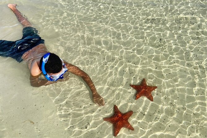 Private Boat Charter in Cayman Islands - Barrier Reef snorkeling for marine life