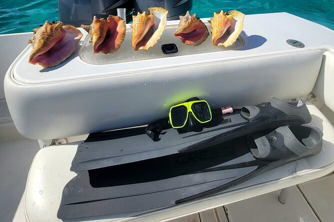 Private Boat Charter in Cayman Islands - Price, timing, and real value