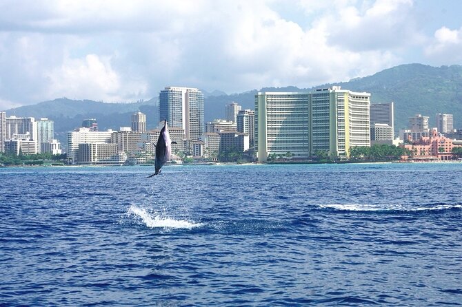 Private Boat Charter in Waikiki for Snorkeling and Events - Planning a birthday, memorial, or family outing