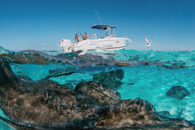 Private Boat Charter Snorkeling Stingray City or Bio Bay - Bioluminescent Bay is the evening highlight
