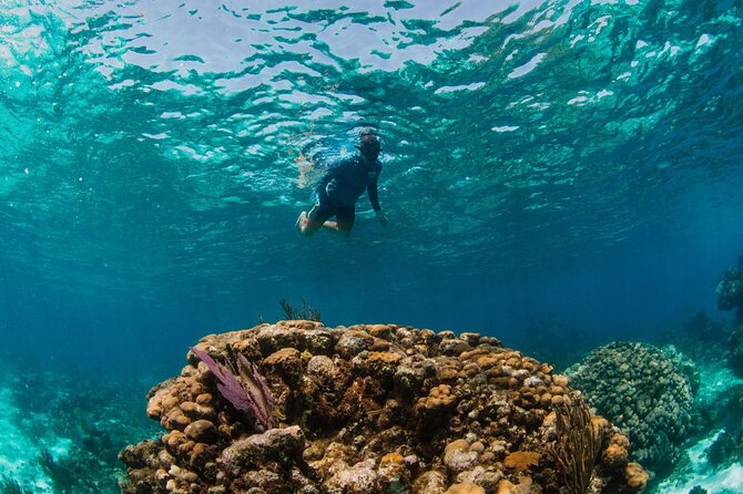 Private Boat Charter Snorkeling Stingray City or Bio Bay - What to bring and how to prepare