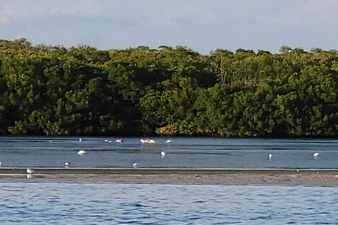 Private Boat Charter to Johns Pass, Shell Key and Egmont Key - Johns Pass, sandbars, and flexible sightseeing