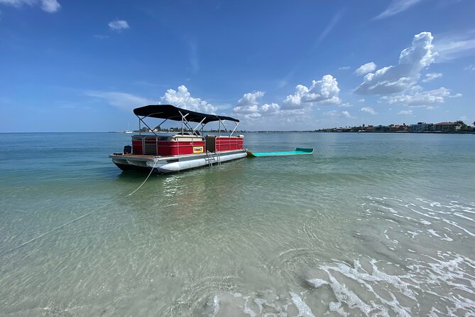 Private Boat Charter to Johns Pass, Shell Key and Egmont Key - Dolphins, manatees, and the right wildlife expectations