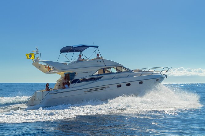 Private Boat Tour on Royal Ocean Yacht, Tenerife - Watching for Whales and Dolphins off Tenerife